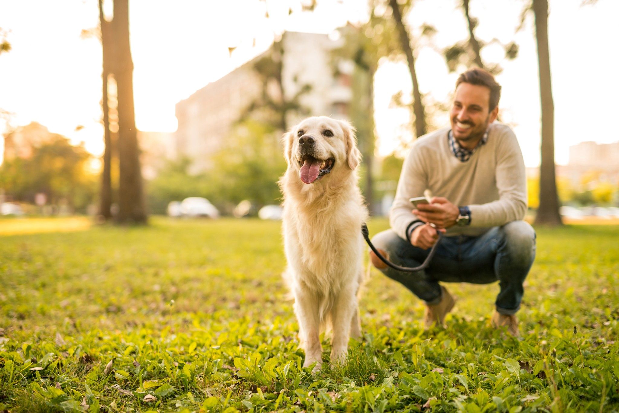 Man with a cell phone in a park walking his dog